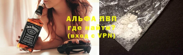 индика Нефтекумск