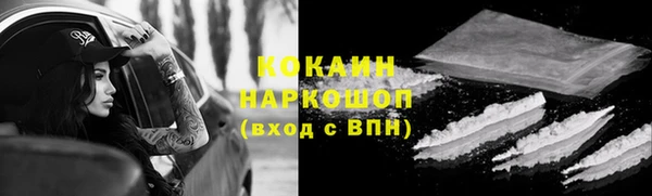 индика Нефтекумск