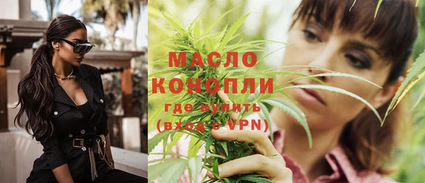 индика Нефтекумск