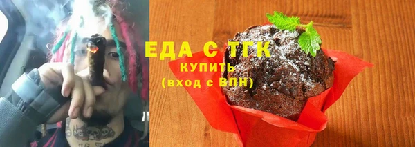 индика Нефтекумск