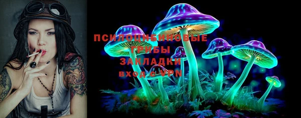 мяу мяу мука Новодвинск
