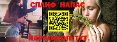 СК Балашиха