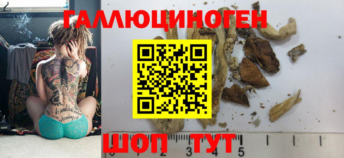 Псилоцибиновые грибы Psilocybe Ревда