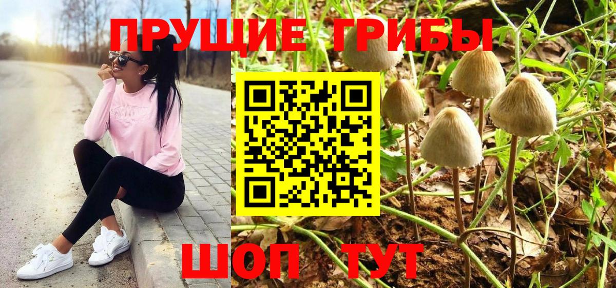 Ревда  цены наркотик  Галлюциногенные грибы ЛСД  Вход с VPN  Галлюциногенные грибы мицелий 